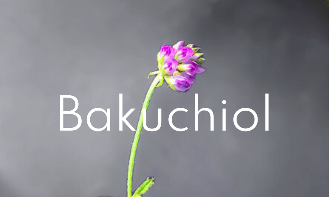 Fiore del Bakuchiol