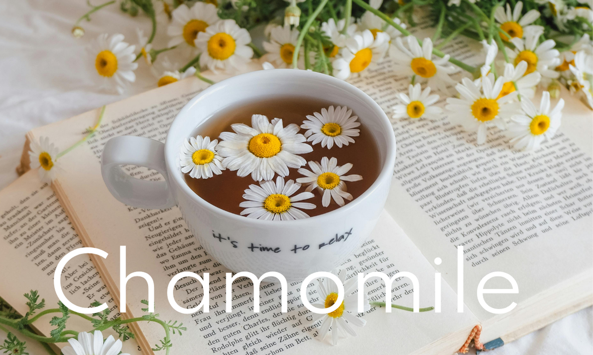 Tazza di camomilla, fa bene al corpo, alla pelle e alla mente