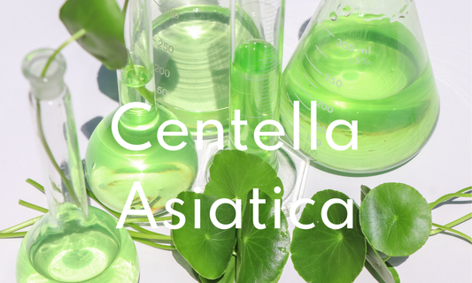 Immagine di foglie di Centella Asiatica contenitori in vetro da laboratorio a significare connessione tra scienza e natura