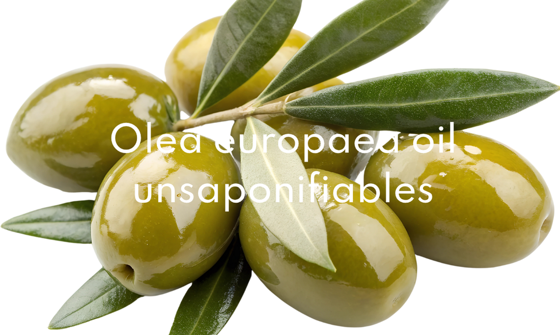 Insaponificabile Olio di Oliva