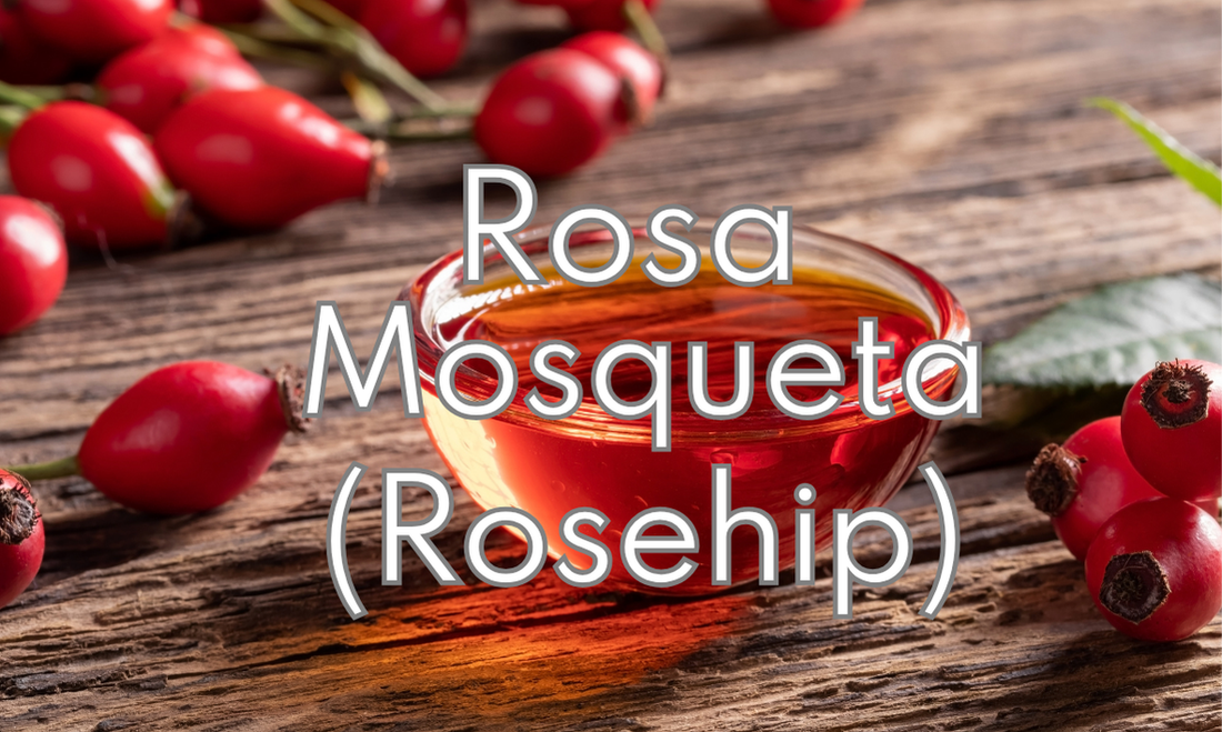 Frutti e olio di Rosa Mosqueta (Rosehip)