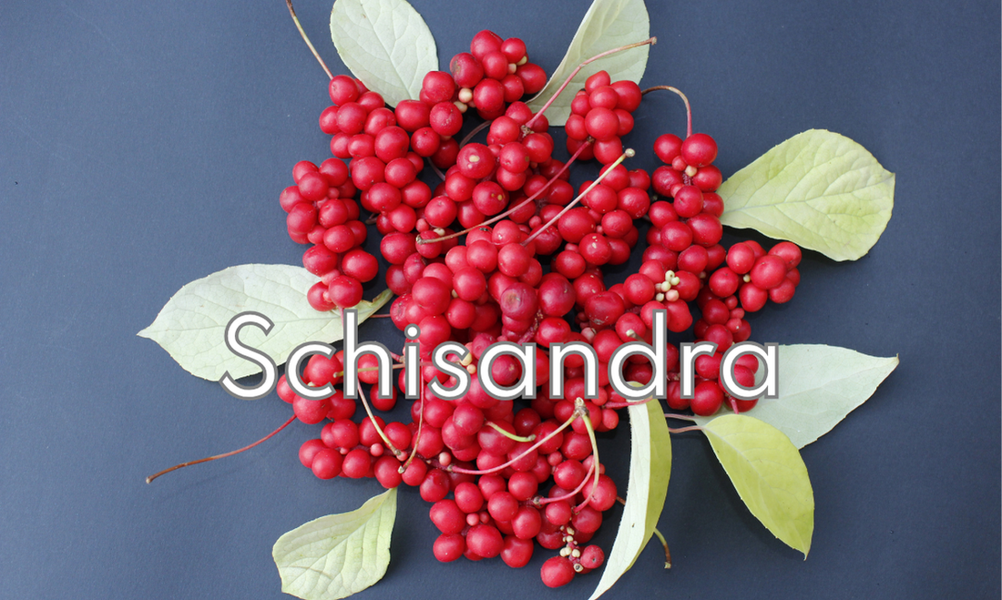 Immagine di bacche di schisandra