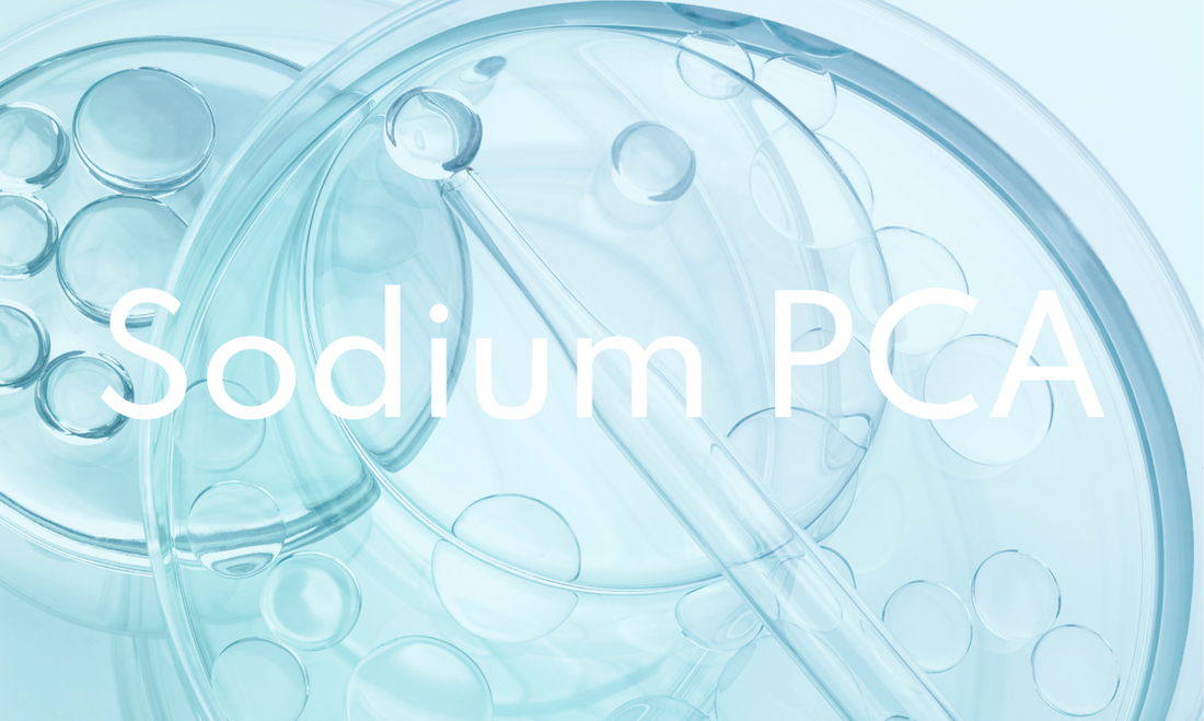 Immagine neutra a rappresentare il Sodium PCA