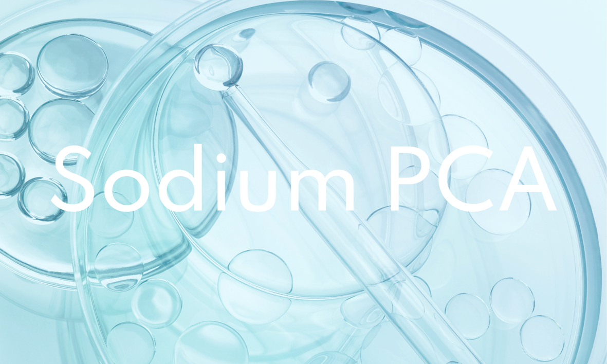 Immagine neutra a rappresentare il Sodium PCA