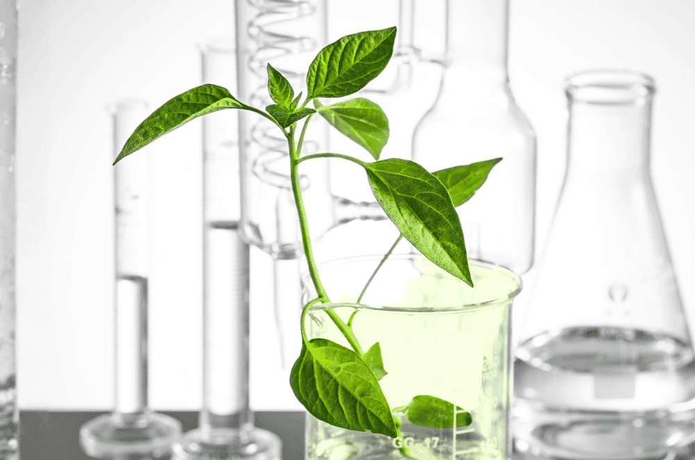 Pinatina in laboratorio, perchè in Bonjour La Vie la natura si fonde la scienza