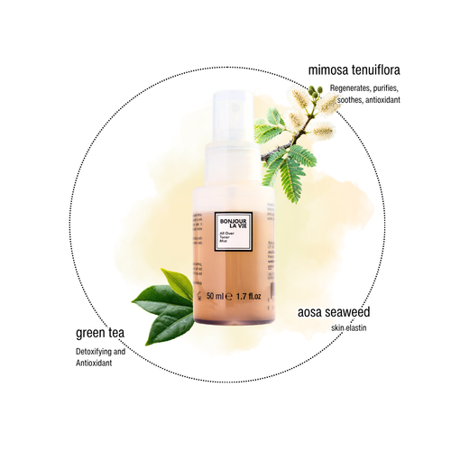 Infografica di All Over Toner Mist con i 3 ingredienti chiave: mimosa tenuiflora, alga aosa, tè verde.