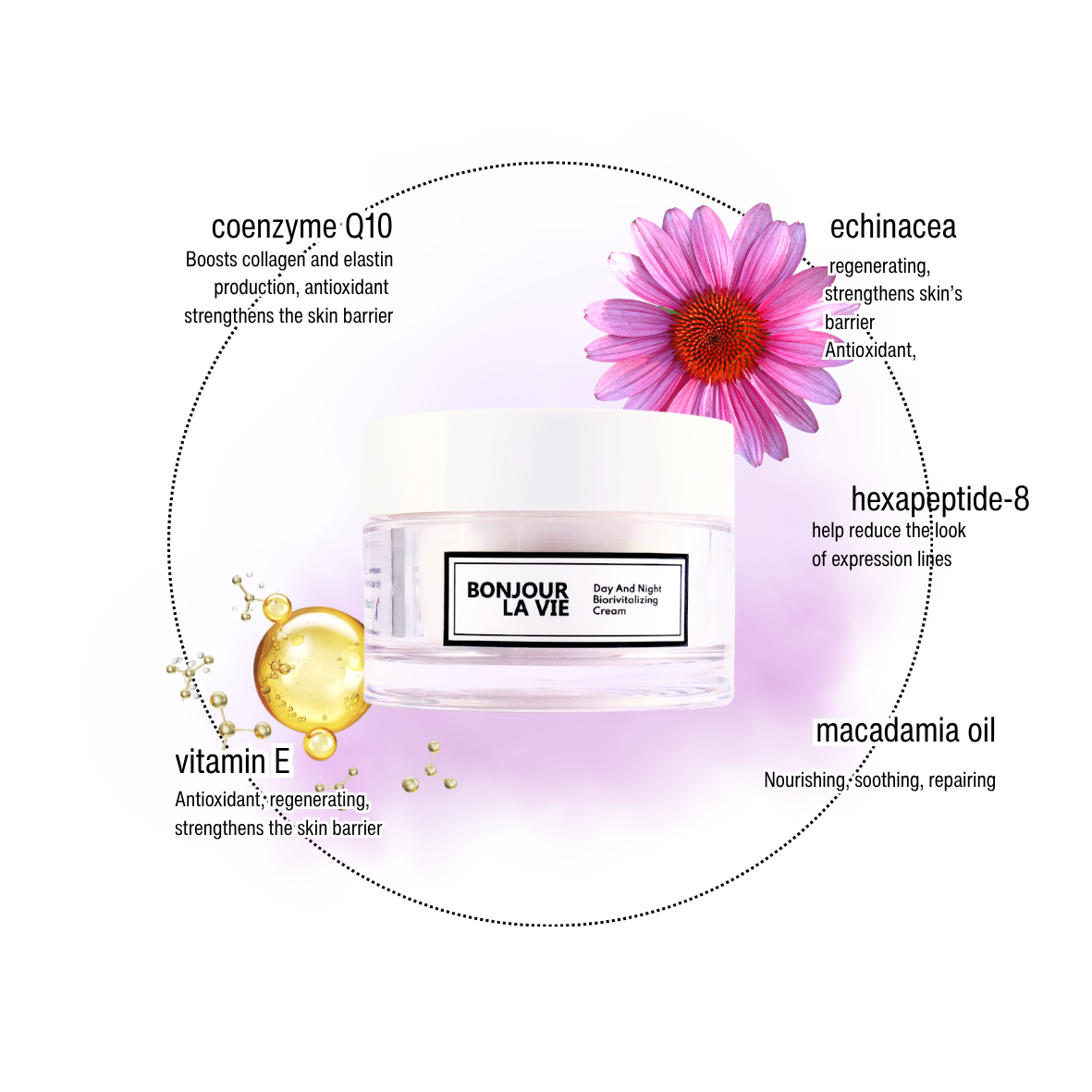 Infografica di Day And Night BioRevitalizing Cream con i 5 ingredienti: hexapeptide-8, coenzima q10, echinacea, olio di macadamia, vitamina E.