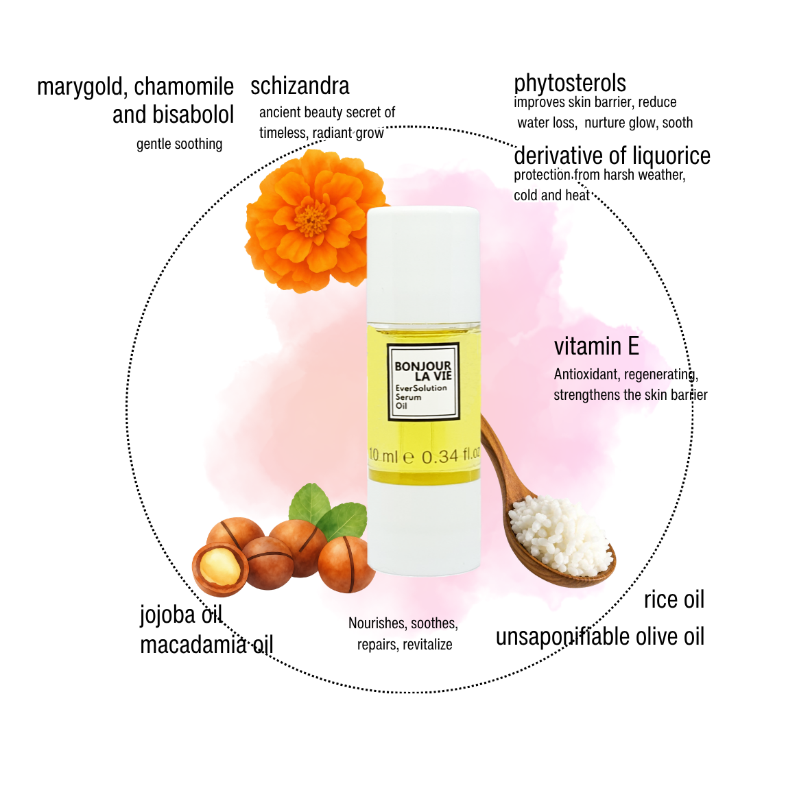 Infografica di EverSolution Serum Oil Bonjour La Vie con i suoi ingredienti chiave: calendula, camomilla, schisandra, vitamina E, oli di riso, jojoba e macadamia.