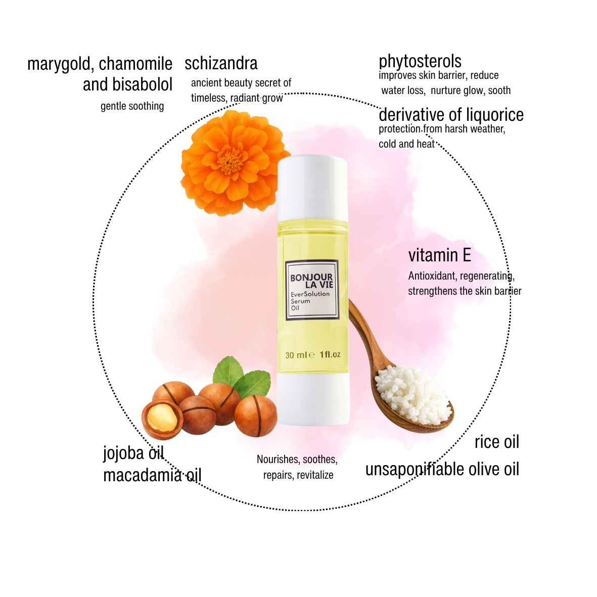 Infografica di EverSolution Serum Oil Bonjour La Vie con i suoi ingredienti chiave: calendula, camomilla, schisandra, vitamina E, oli di riso, jojoba e macadamia.
